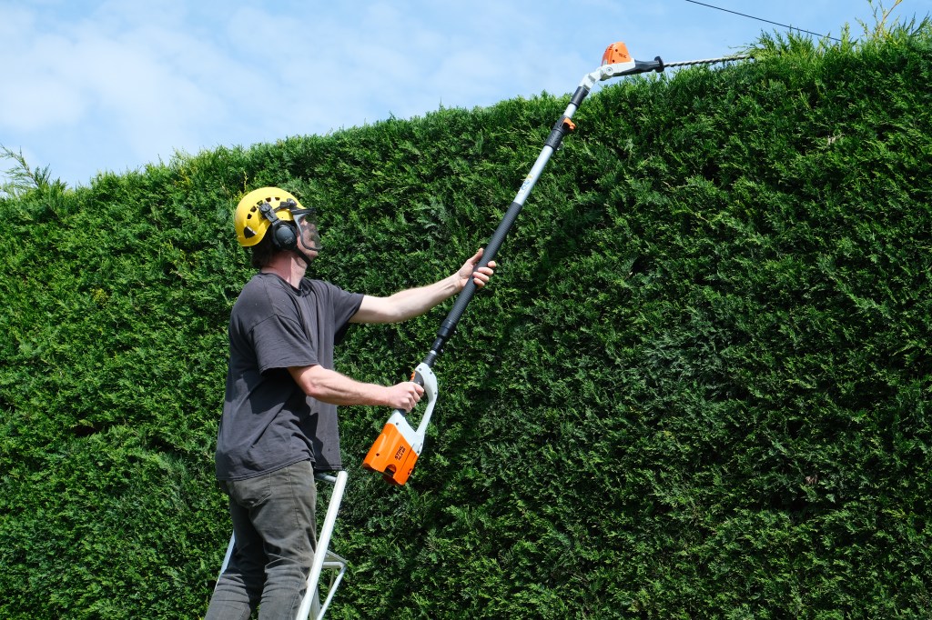 cutting top of hedge